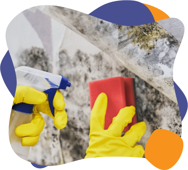 an enviropure home mold removal specialist remediating mold from a wall
